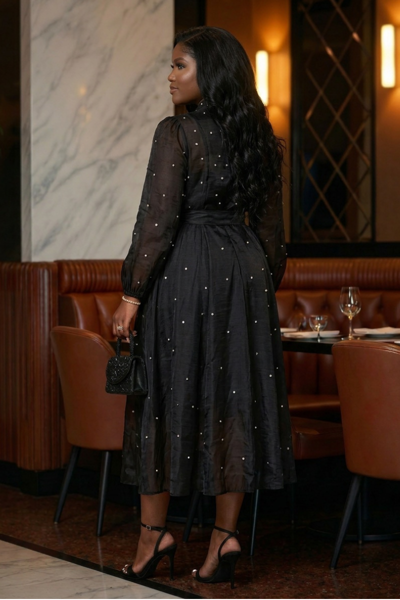 Lady in Black Dress